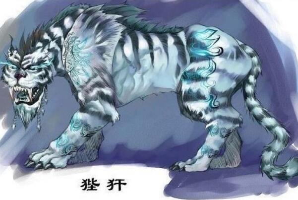 网络配图 网络配图