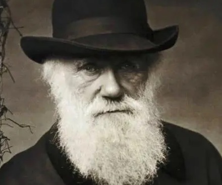 网络配图 网络配图