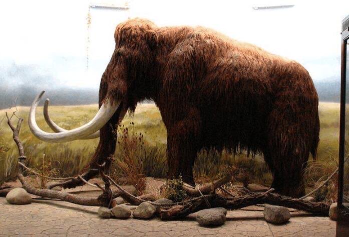 网络配图 网络配图