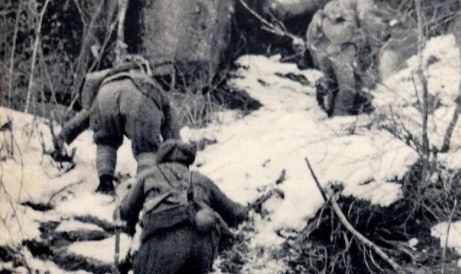 网络图片(侵删) 网络图片(侵删)