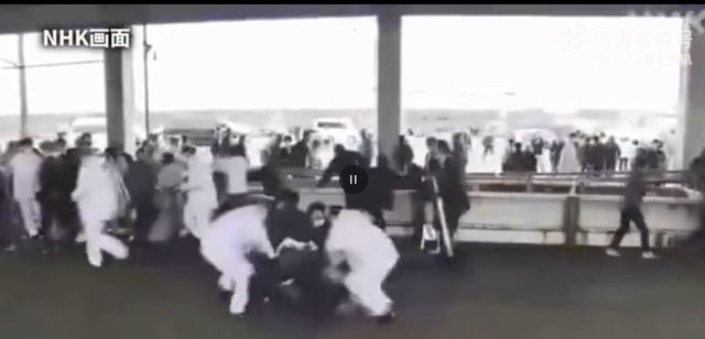 网络图片(侵删) 网络图片(侵删)