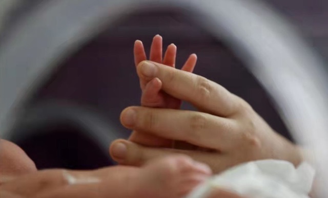 网络图片(侵删) 网络图片(侵删)