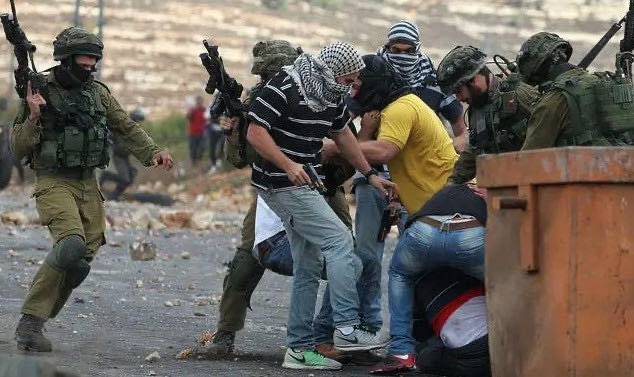 网络配图 网络配图