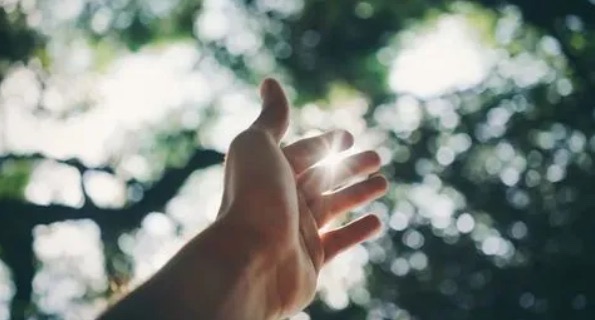 网络图片(侵删) 网络图片(侵删)