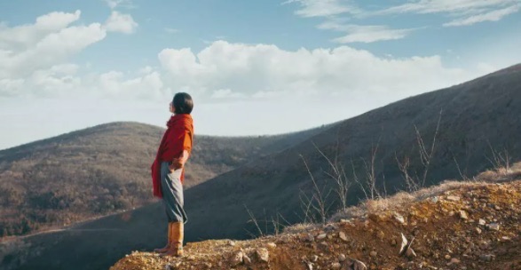 网络图片(侵删) 网络图片(侵删)