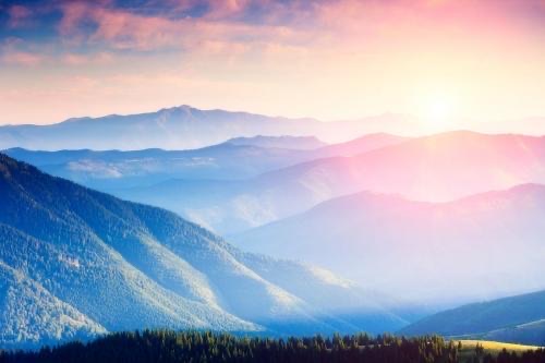 网络图片(侵删) 网络图片(侵删)