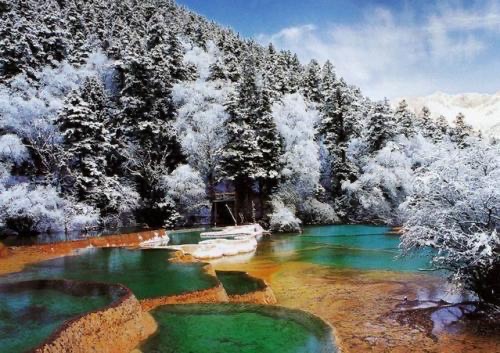 网络图片(侵删) 网络图片(侵删)