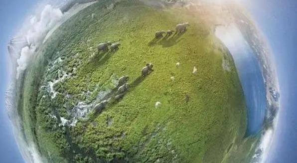 网络配图 网络配图