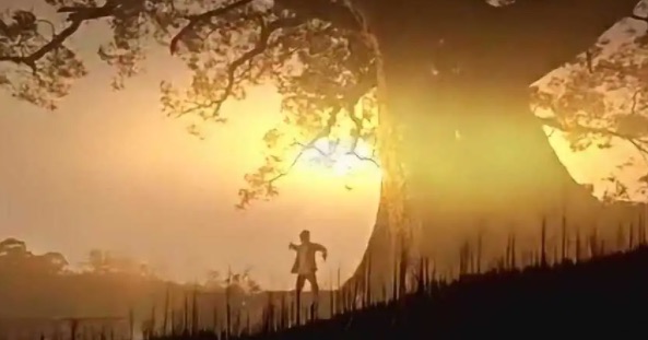 网络配图 网络配图