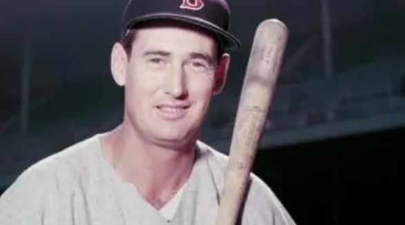 网络配图 网络配图