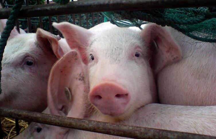 网络配图 网络配图