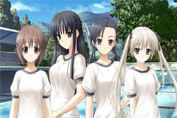 网络图片(侵删) 网络图片(侵删)