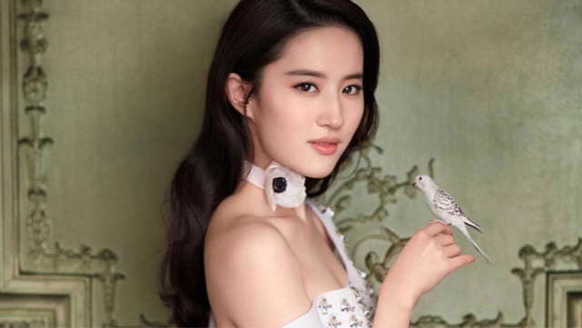 网络图片(侵删) 网络图片(侵删)