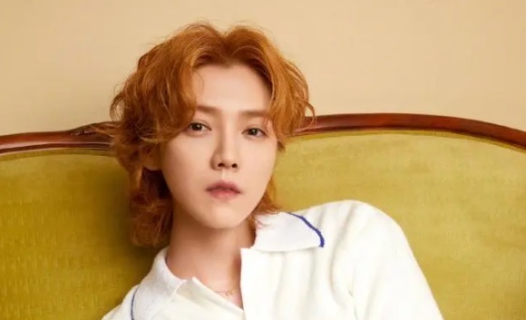 网络图片(侵删) 网络图片(侵删)