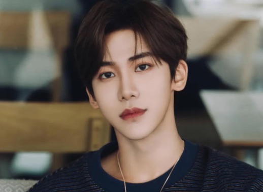 网络图片(侵删) 网络图片(侵删)