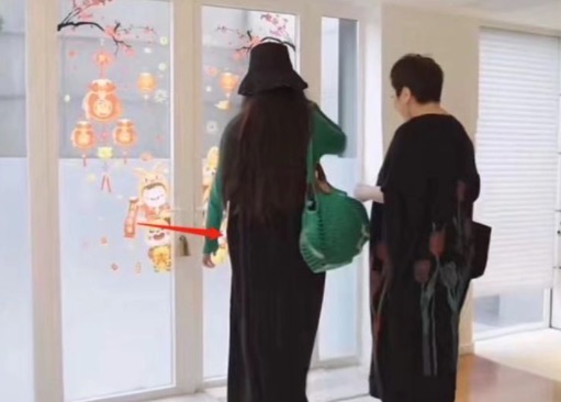 网络图片(侵删) 网络图片(侵删)