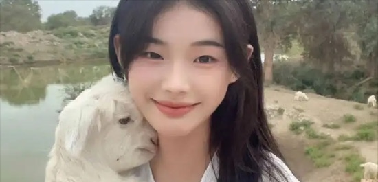 网络配图 网络配图