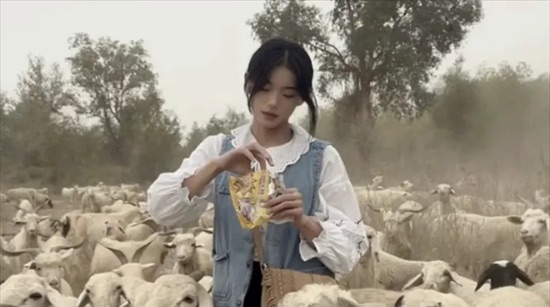 网络配图 网络配图