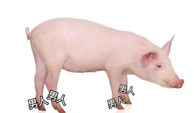 网络配图 网络配图