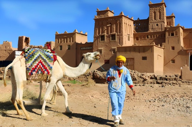 网络配图 网络配图